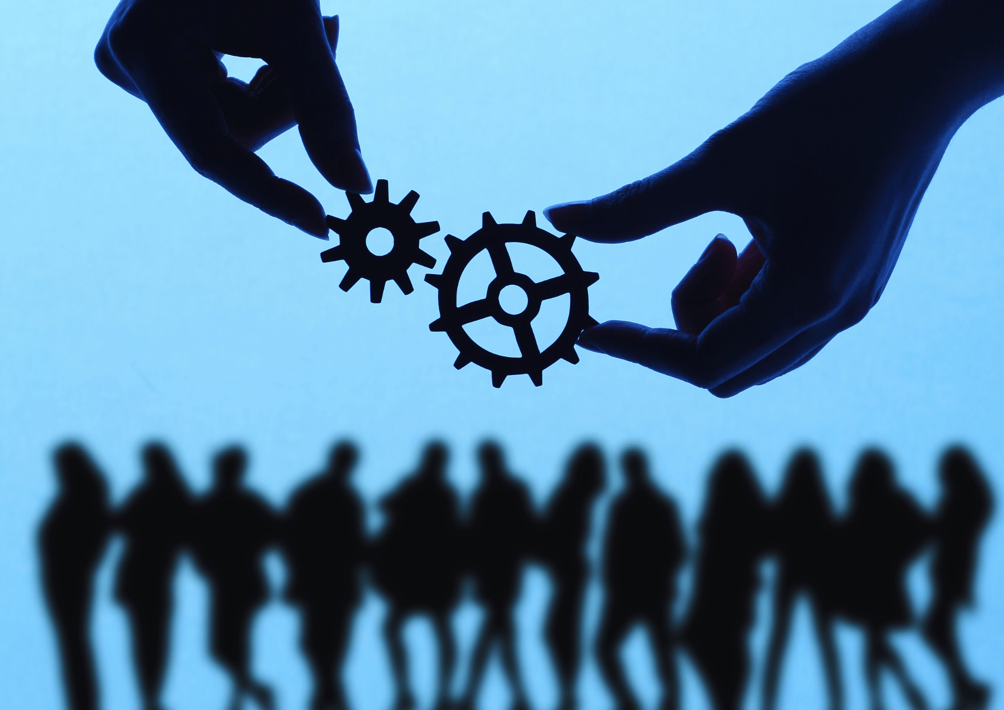 Working with the Right Team